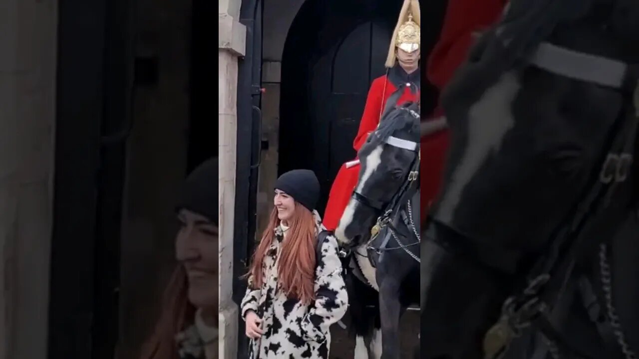 Horse bites back of tourists #horseguardsparade