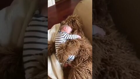 Dog And Baby Take Nap