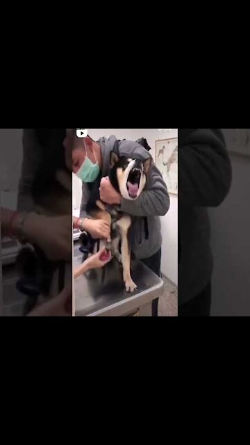 When I say I'm not going to make a fuss.😂😂