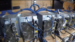 Bitcoin Mining Farm - Miner Offline and One Hash board Repair Plugged Back In