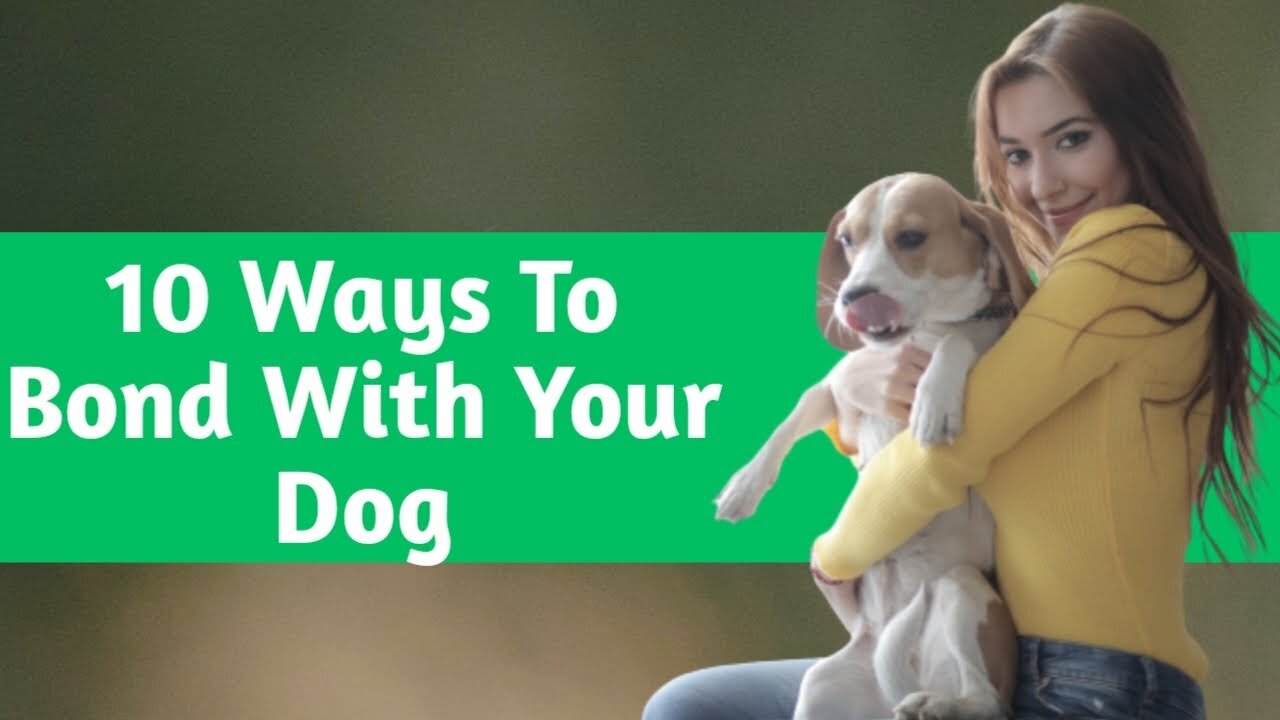 10 Ways to Bond with Your Dog and 7 Mistakes to Avoid | Methods To Strengthen Relationship With Dogs