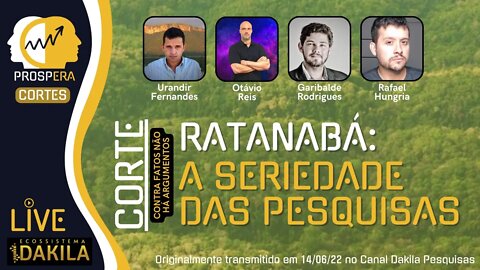 Porque devemos buscar a verdade por nós mesmos?