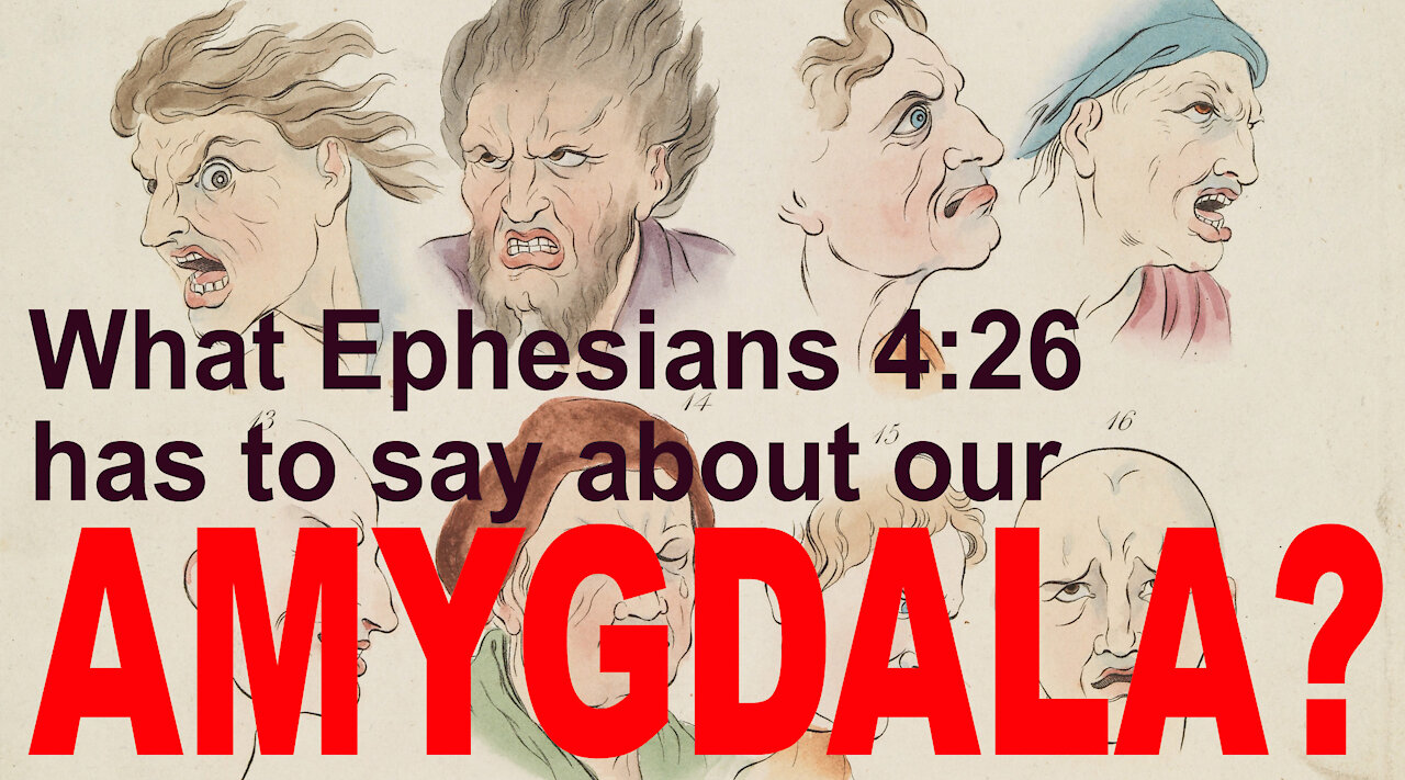 What Ephesians 4:26 has to say about our Amygdala?