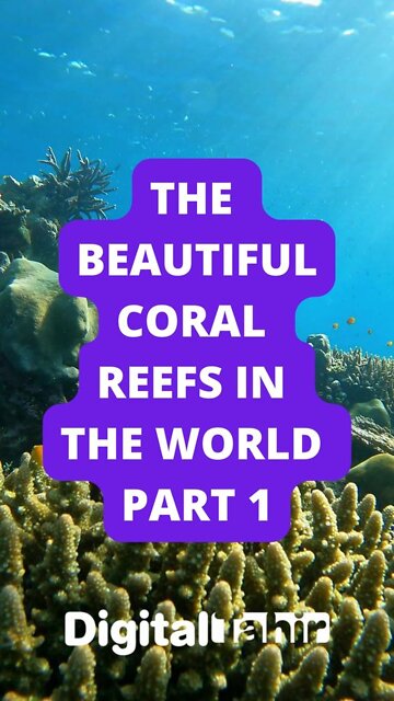 Part 1: The Beautiful Coral Reefs in the World