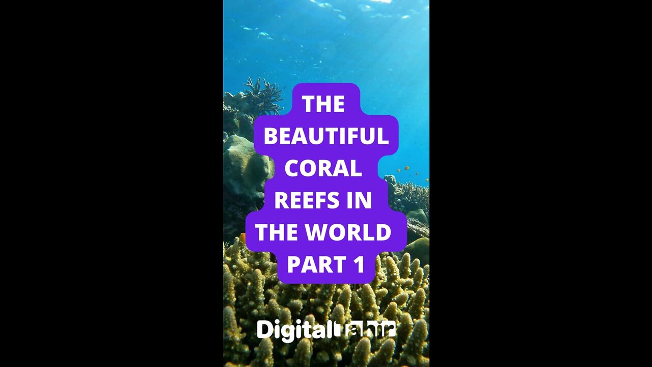 Part 1: The Beautiful Coral Reefs in the World