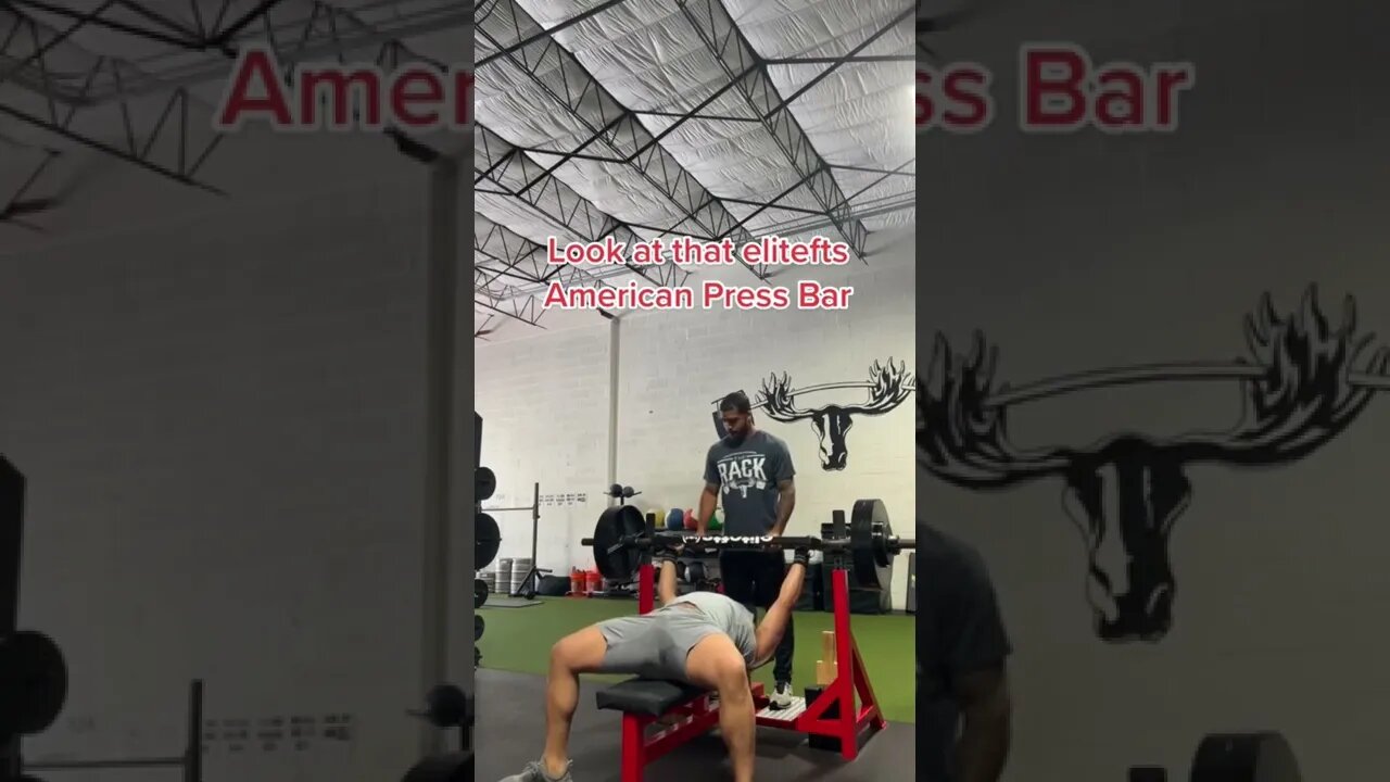 American Press Bar Reps #shorts