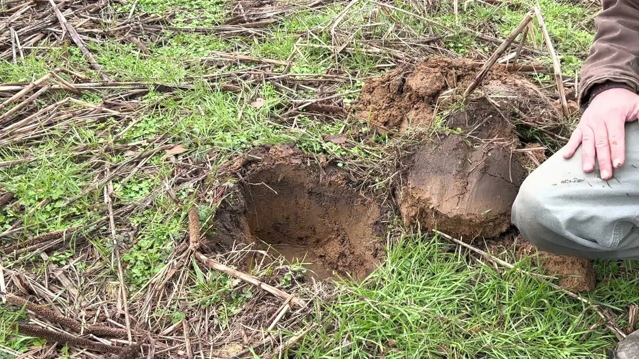 What Do Our Soils Look Like after 4 Years of Cover Crops?