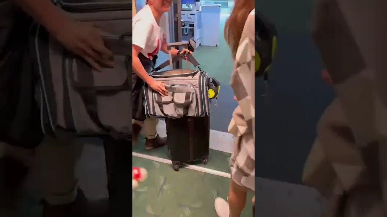 CBD was supposed to be for the dog! #funnypets #funnyhumans