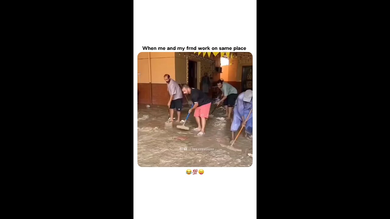 funny video