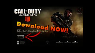 Black Ops 4 Multiplayer Beta - How To Download The Private Beta NOW!