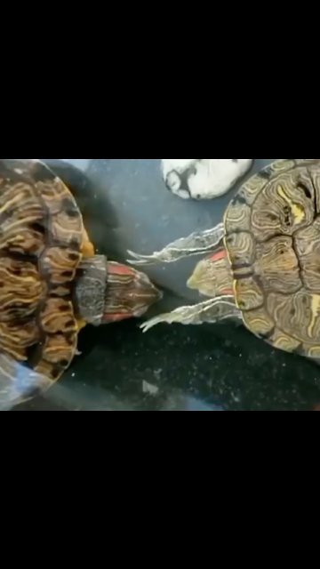 When bae is mad at you