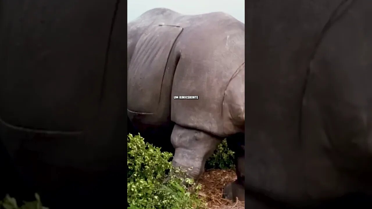 É ASSIM QUE O RHINO APARECERÁ EM HOMEM-ARANHA
