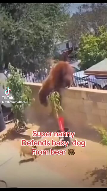 Super nanny