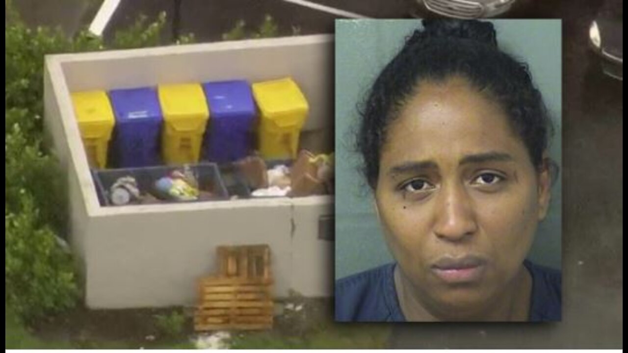 Judge: Confession may be used against Palm Beach County mother accused of dumping baby