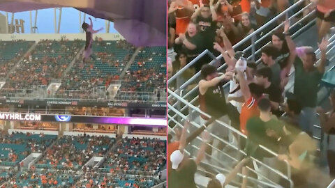 People Save Life Cat At Hard Rock Stadium