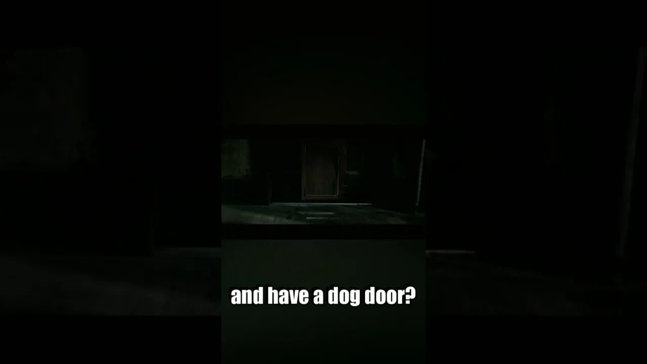 Why even have a doggy door?