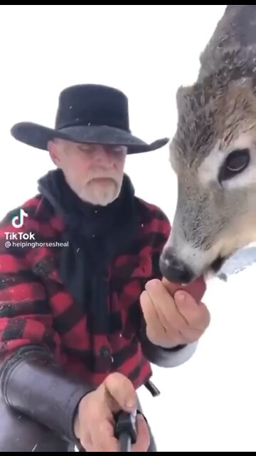 IT’s ON (Good V’s Evil)