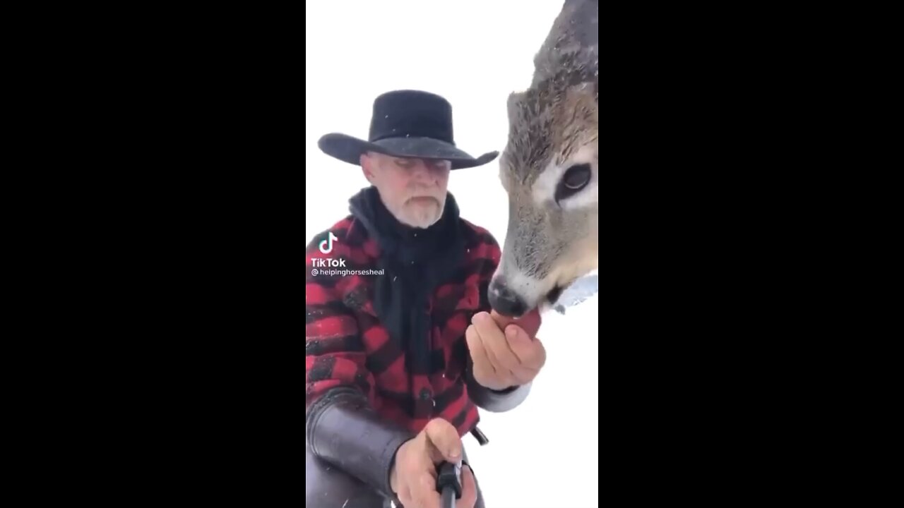 IT’s ON (Good V’s Evil)