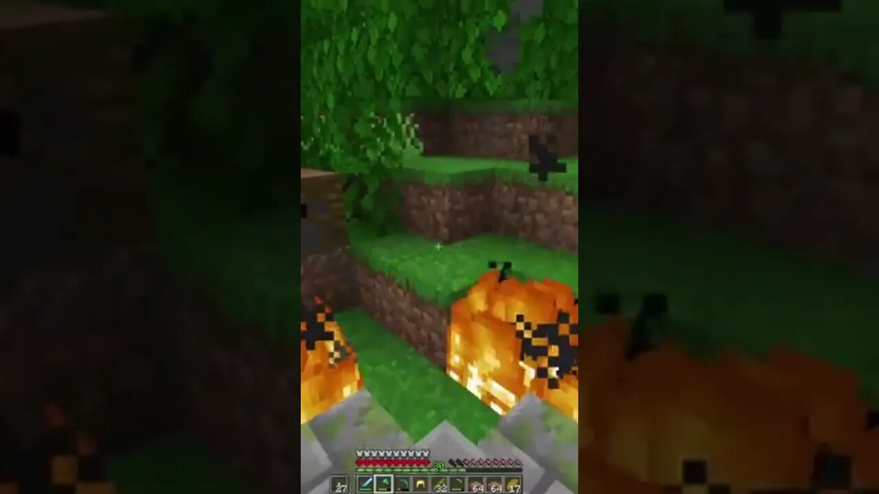 I Fell into a Burnin' Ring of 🔥#minecraft #shorts