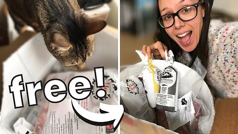 I changed how I buy raw cat food again + freezer tour