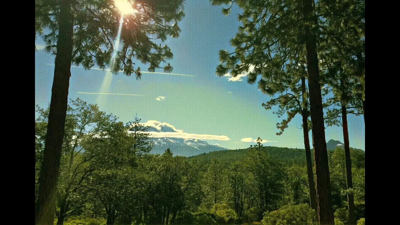 The Mount Shasta Transmission: Accessing a 5D Portal for Global Ascension.