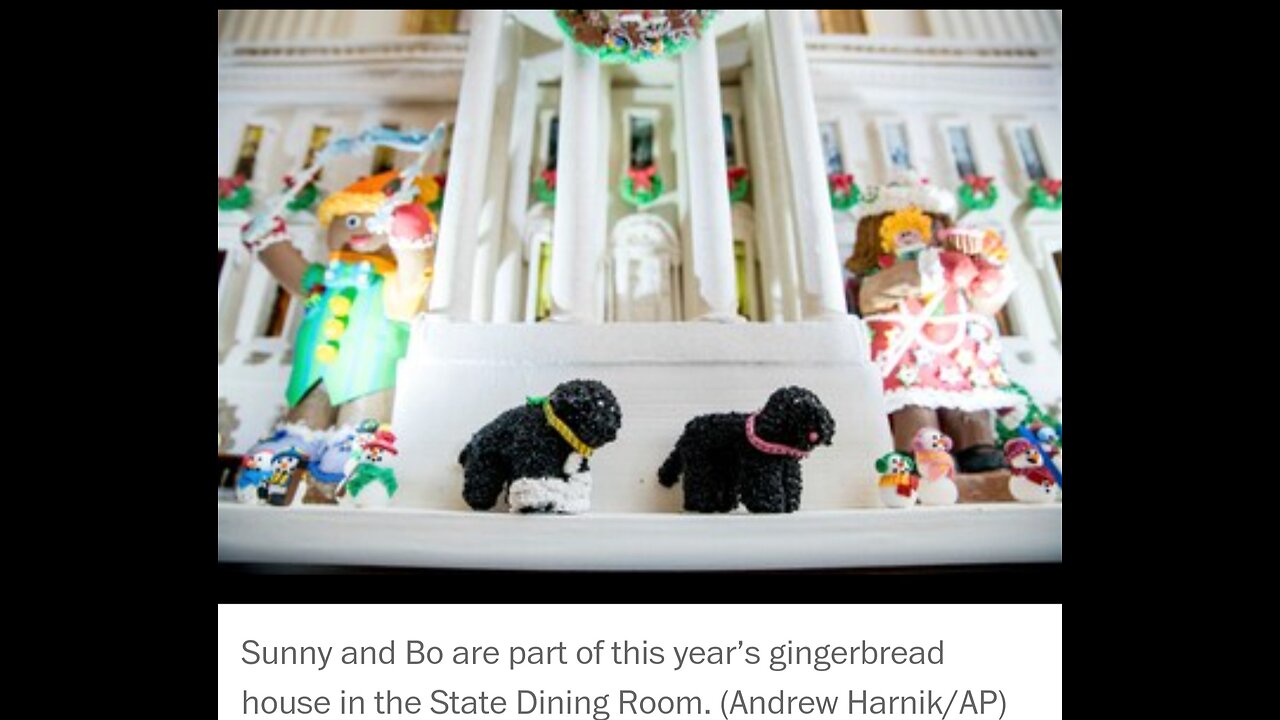 Pet Replicas in Christmas Display