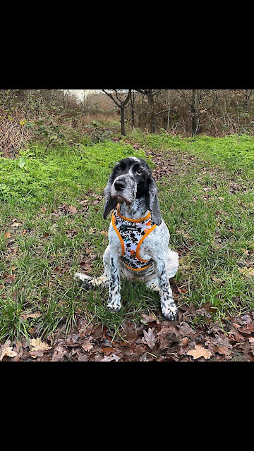 Bow is on a tour with his family