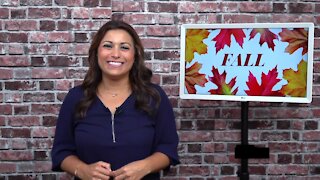 Limor Suss - Fall Finds for the Family