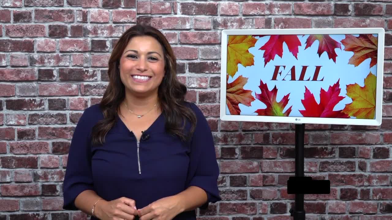 Limor Suss - Fall Finds for the Family