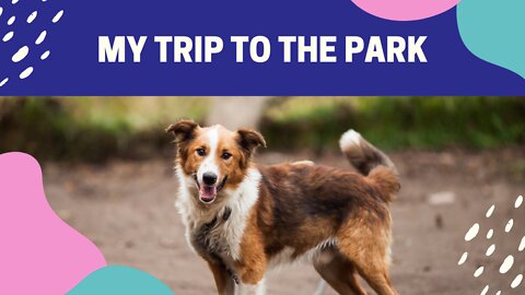 I tricked my dog .