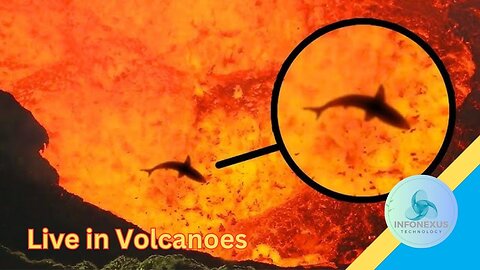 "12 Frightening Creatures That Live in Volcanoes"