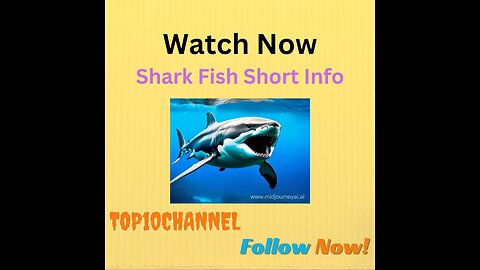 Shark Fish || Short Info || Top10Channel