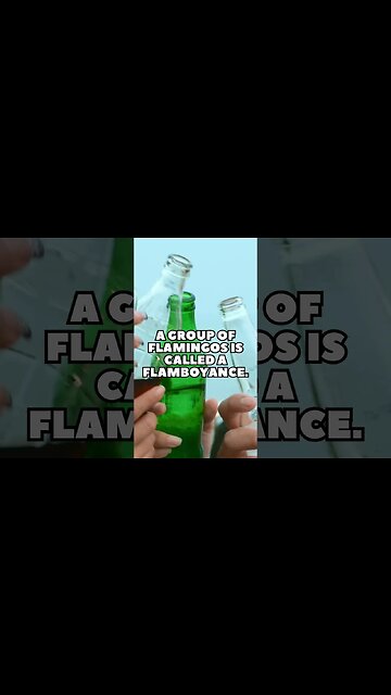 Incredible Random Facts That Will Expand Your Mind! [2023] #shorts #facts #viralshorts #fyp #life