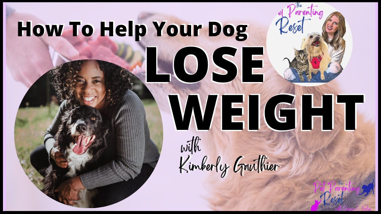 How To Help Your Dog Lose Weight with Kimberly Gauthier of Keep The Tail Wagging