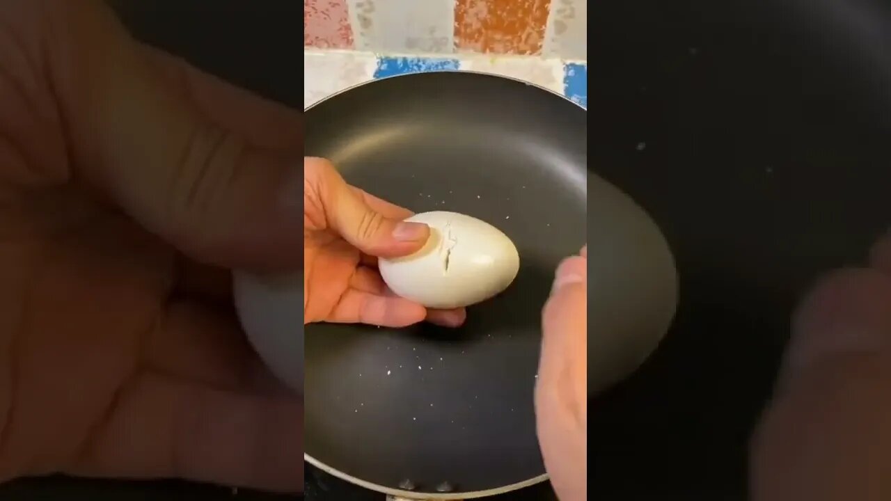 MultiYolk Egg / Time Relax Satisfying