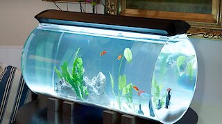 Aquarium industry with simple tools 😍Gorgeous😍