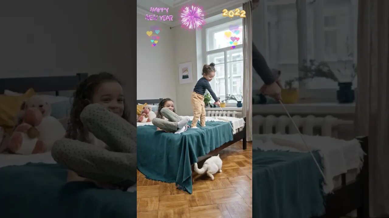Funny cat 🐈🐈 #shorts