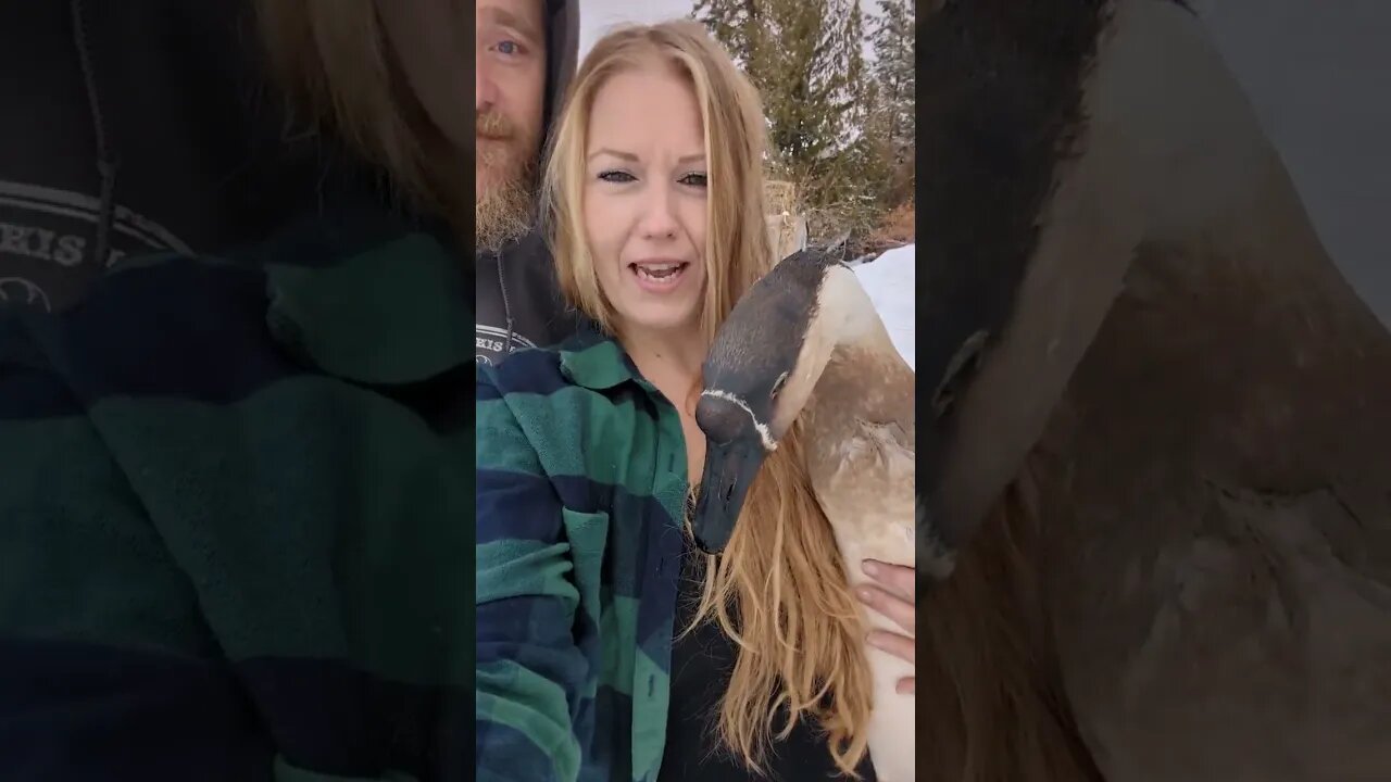 #happynewyear #shorts