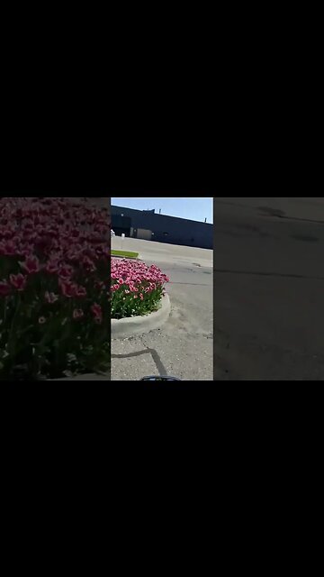 Riding My Motorcycle In Holland, Michigan!