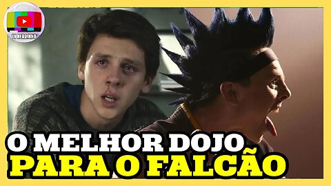 O FALCÃO ERROU AO ESCOLHER O MYAGI DO EM VEZ DO PRESAS DE ÁGUIA EM COBRA KAI?