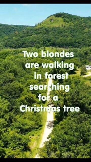 Two Blondes are walking in the forest and loking for..