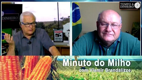 Milho com recorde de exportações