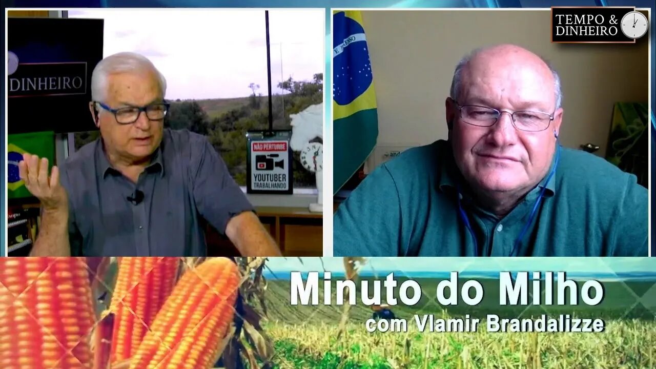 Milho com recorde de exportações