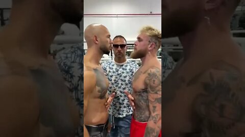 jake paul vs tate it on