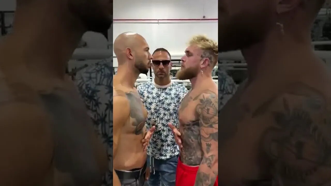 jake paul vs tate it on