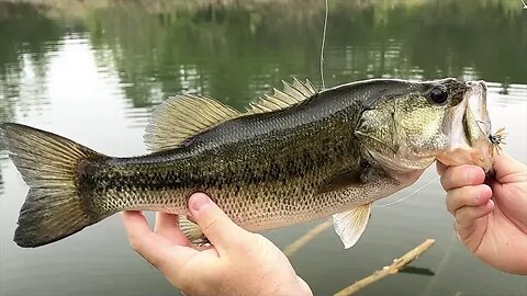 Slammin’ Bass On Micro Spin Jigs & Finesse Craws
