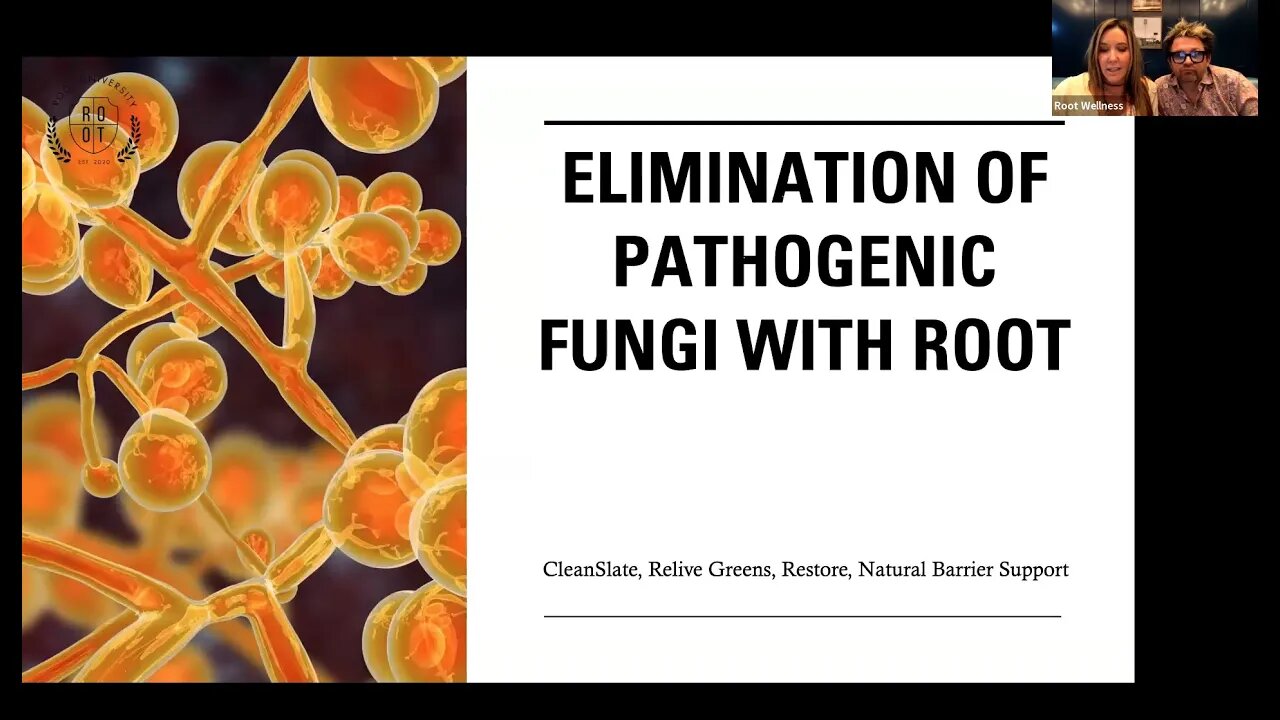 🇩🇪 ROOT-Universität: Es gibt einen Pilz unter uns! Beseitigung von pathogenen Pilzen-CleanSlate, NBS