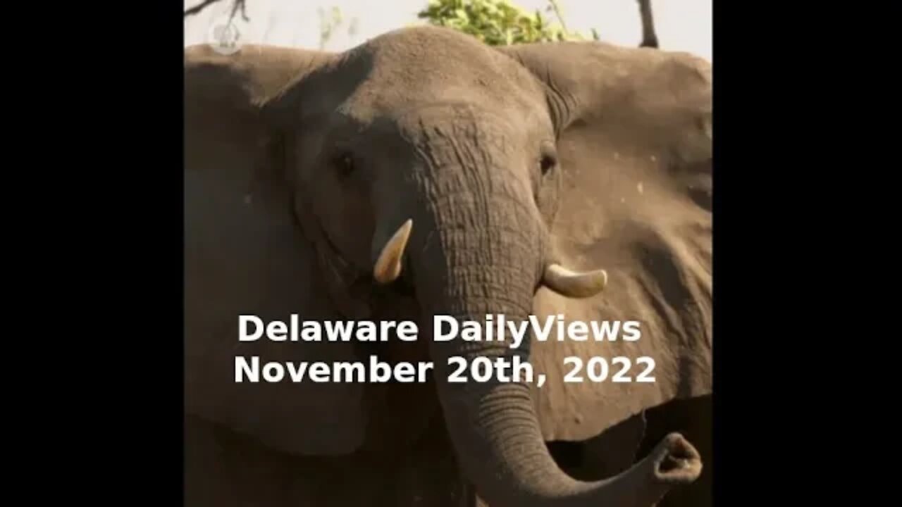 Arizona and Delaware Polling Location Issues, Delaware DailyViews: November 20th, 2022