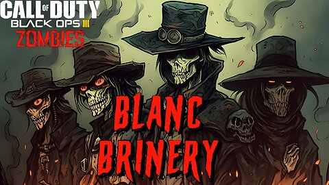 Call of Duty Blanc Brinery Custom Zombies map