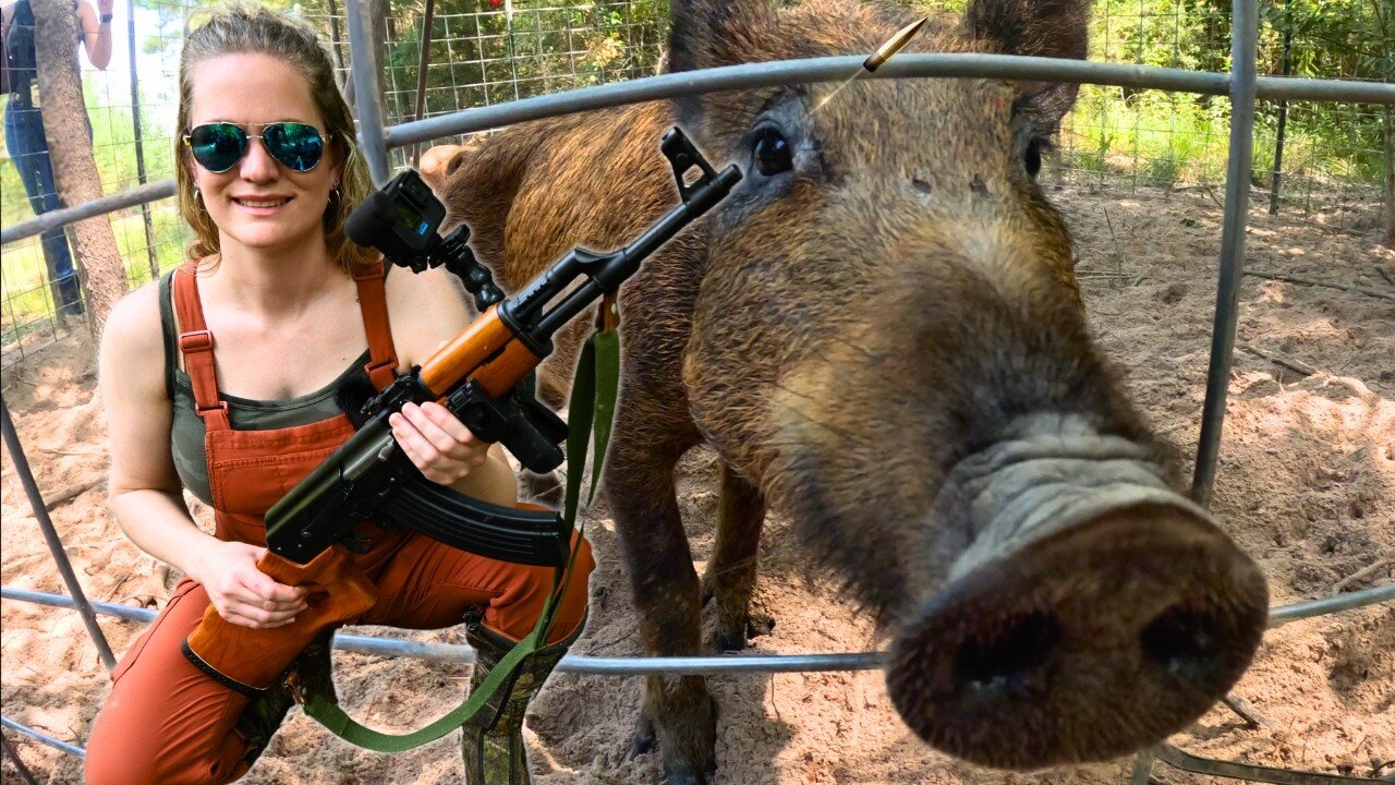 WILD HOG HUNTING CHAOS! She Uses an AK-47.